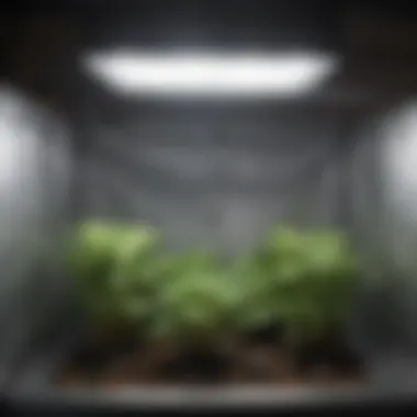 Key Components of a Grow Tent Kit Essential components of a grow tent kit, including lights and ventilation.