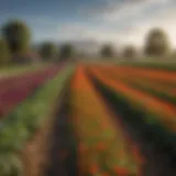 A serene agricultural landscape showcasing diverse crops thriving without harmful herbicides.