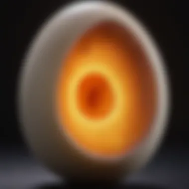 Embryo Development Insight Close-up of an egg illuminated from within, showcasing the embryo development during candling.