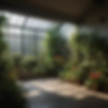 Indoor Garden Optimized with LED Technology Setup of an indoor garden using advanced LED technology