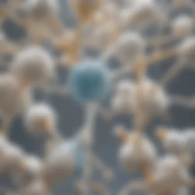Mechanism of Lactase Enzyme Action Illustration of lactase enzyme action on lactose molecules
