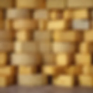 Lactose Levels in Cheeses Graphical representation of lactose levels in various cheese types