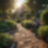 Professional landscaper designing a garden