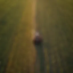 Aerial view of a vibrant agricultural landscape showcasing diverse crops and farming techniques.