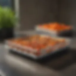 Innovative design of Mondi trays used in agriculture