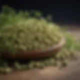 Vibrant moringa seeds showcasing their unique appearance