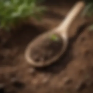 Soil Types for Moringa Cultivation Illustration of soil types suitable for moringa cultivation