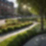 A lush, green lawn in an urban setting showcasing sustainable landscaping techniques.