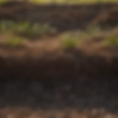 Healthy Soil Structure Healthy soil structure for effective lawn care