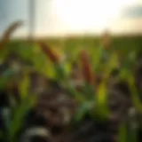 Protecting Natural Resources: A Comprehensive Approach to Sustainable Agriculture Introduction