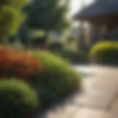 Innovative Technology in Landscaping Modern technology in landscaping design implemented by R and R Landscaping