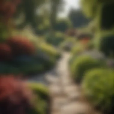 A well-maintained garden with integrated horticultural practices