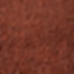 A close-up view of red buckwheat seeds showcasing their unique color and texture.