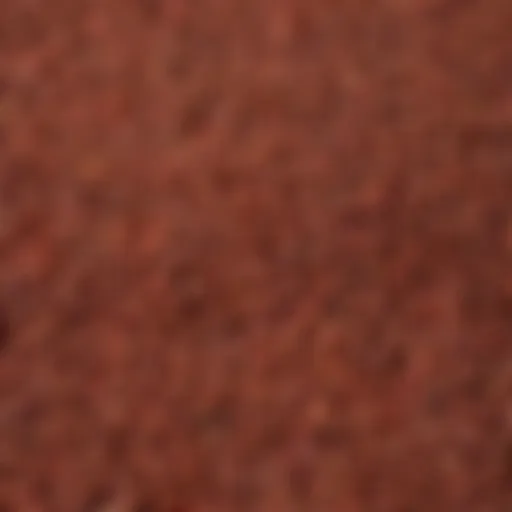 A close-up view of red buckwheat seeds showcasing their unique color and texture.