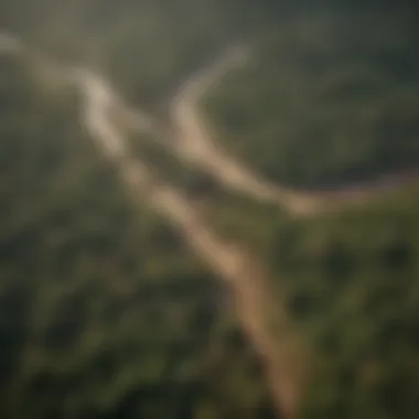 Map highlighting deforestation hotspots worldwide