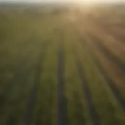 Aerial view of expansive farmland with various crops