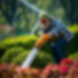Style Hedge Trimmer: A Comprehensive Guide to Modern Trimming Techniques Introduction