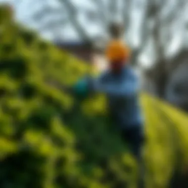 Style Hedge Trimmer: A Comprehensive Guide to Modern Trimming Techniques Summary