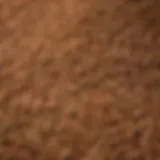 Close-up of Swanson Natural Poultry Feed pellets showcasing their texture and color