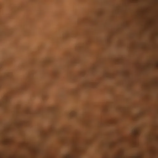 Close-up of Swanson Natural Poultry Feed pellets showcasing their texture and color