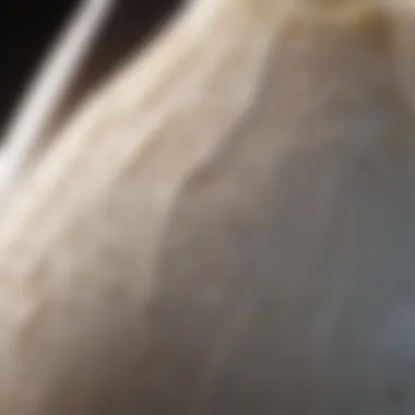 Altered Milk Quality Due to Mastitis Close-up of milk with visible changes signaling mastitis
