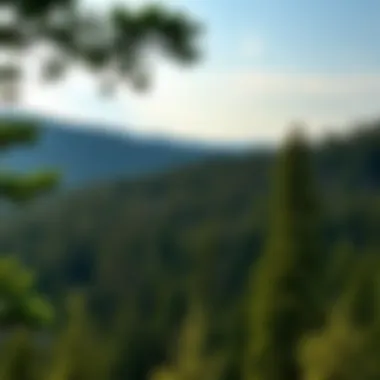 Notable The Complex Landscape of World Forestry Notable The Complex Landscape of World Forestry
