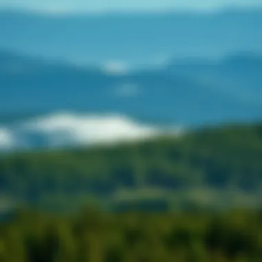 The Complex Landscape of World Forestry Summary The Complex Landscape of World Forestry Summary