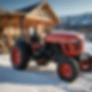 A variety of garden tractors and snow blowers displayed at a fair