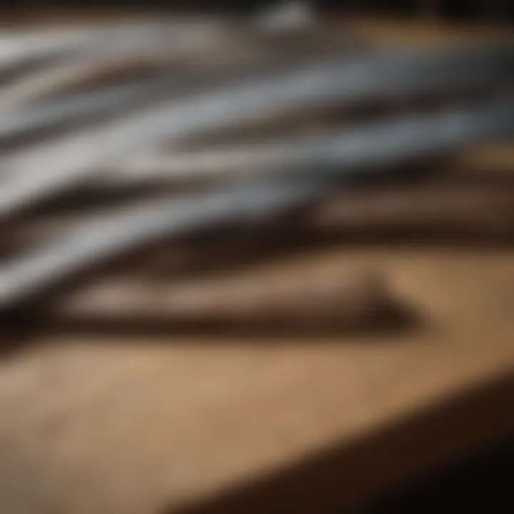 Various types of hurricane straps designed for agricultural use displayed on a table