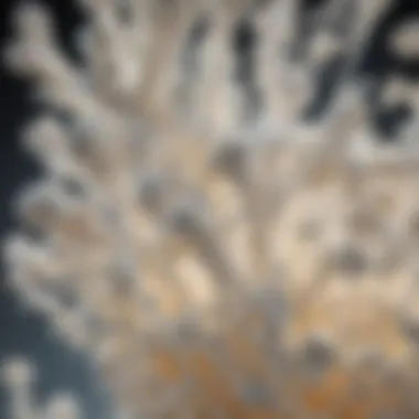 A close-up depiction of lactose crystals commonly found in dairy products.