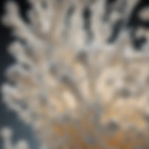 A close-up depiction of lactose crystals commonly found in dairy products.