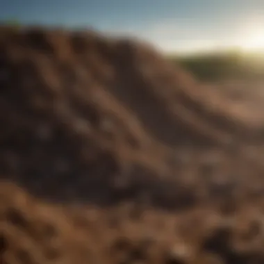 Close-up of rich topsoil composition