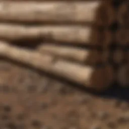 Lumber treated for ground contact showcasing various preservatives
