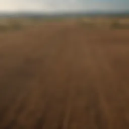 Aerial view of vast agricultural land under cultivation