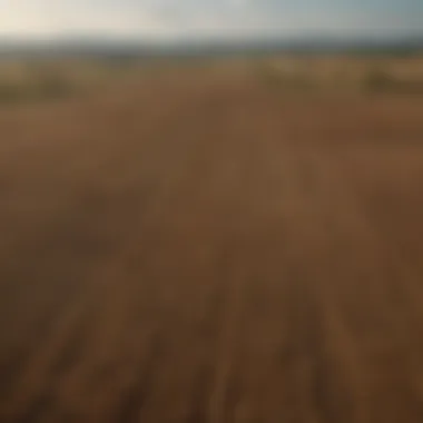 Vast Agricultural Land Aerial view of vast agricultural land under cultivation