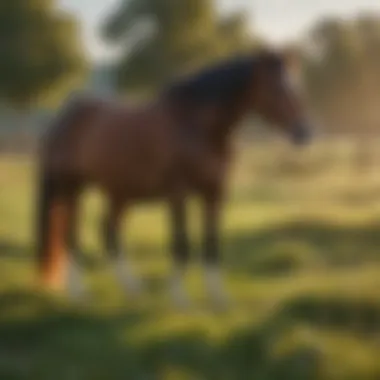 A serene pasture environment showcasing the importance of clean air for horses.