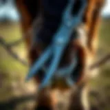 Understanding ARS Hoof Trimming Shears: A Comprehensive Guide Introduction