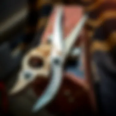 Notable Understanding ARS Hoof Trimming Shears: A Comprehensive Guide