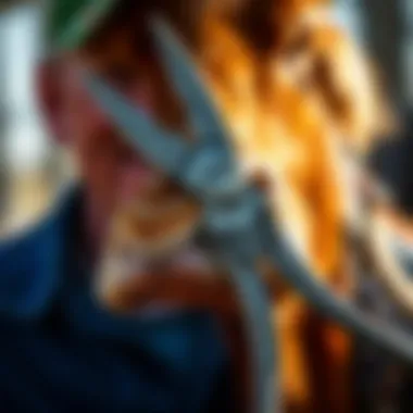 Understanding ARS Hoof Trimming Shears: A Comprehensive Guide Summary Understanding ARS Hoof Trimming Shears: A Comprehensive Guide Summary