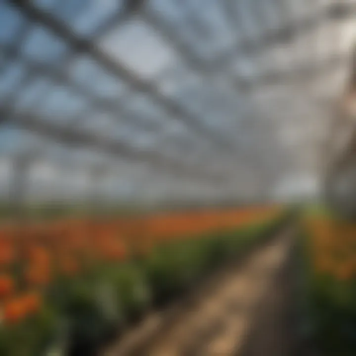 Application of polycarbonate wall panels in a modern greenhouse setting.