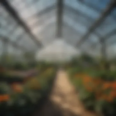 Innovative Greenhouse Design Custom greenhouse showcasing innovative plastic design