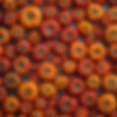Diverse Colors and Shapes of Heirloom Tomatoes Vibrant heirloom tomatoes showcasing diverse colors and shapes