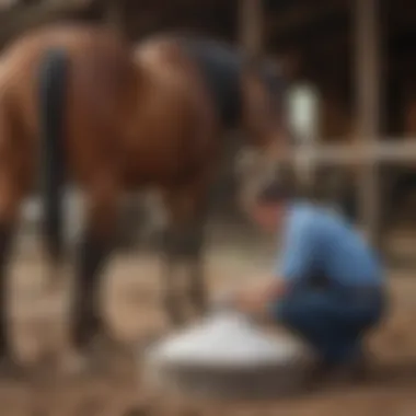 A horse owner maintaining a salt lick holder