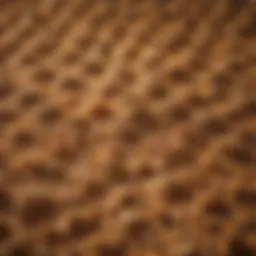 Illustration of various insulation materials used in agriculture