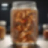Lactobacillus fermentum in a laboratory setting