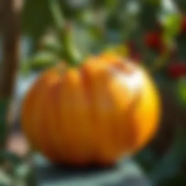 Notable Understanding Pesticide Residues in Fruits and Vegetables Notable Understanding Pesticide Residues in Fruits and Vegetables