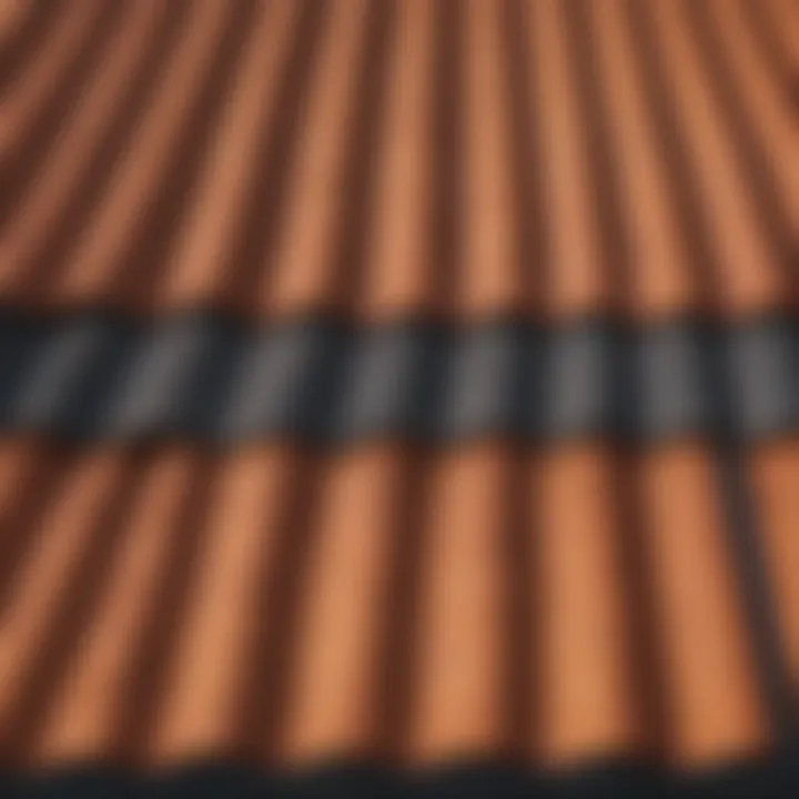 Comparison of traditional roofing and polyethylene roofing in agriculture