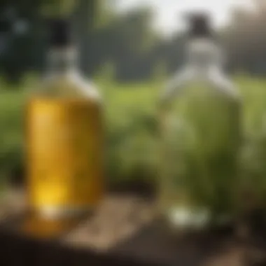 Chemical vs. Natural Pre-Weed Killers Infographic comparing chemical and natural pre-weed killers