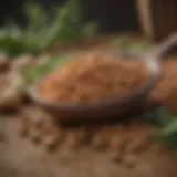 Nutrient-rich legumes showcasing their role in sustainable agriculture