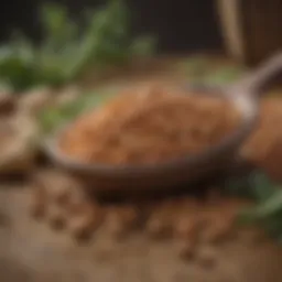 Nutrient-rich legumes showcasing their role in sustainable agriculture